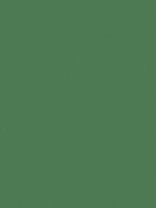 MDF 06 MM VERDE FLORESTA