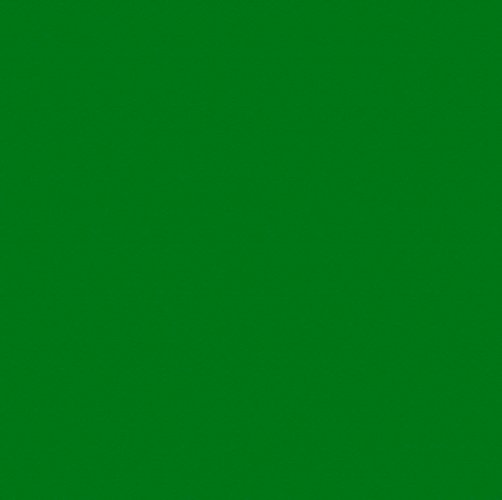 LOUSA VERDE OFICIAL L113